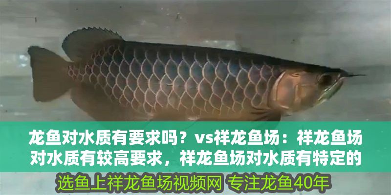 龍魚對水質有要求嗎？vs祥龍魚場：祥龍魚場對水質有較高要求，祥龍魚場對水質有特定的要求
