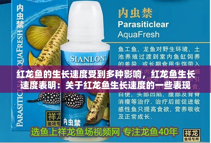紅龍魚的生長速度受到多種影響，紅龍魚生長速度表明：關于紅龍魚生長速度的一些表現