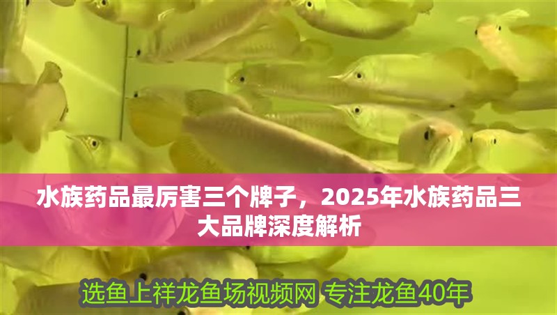 水族藥品最厲害三個(gè)牌子，2025年水族藥品三大品牌深度解析