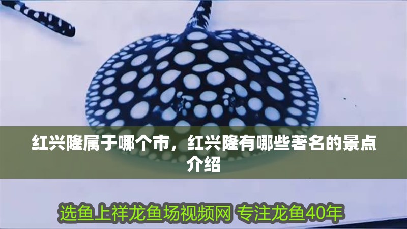 紅興隆屬于哪個市，紅興隆有哪些著名的景點介紹