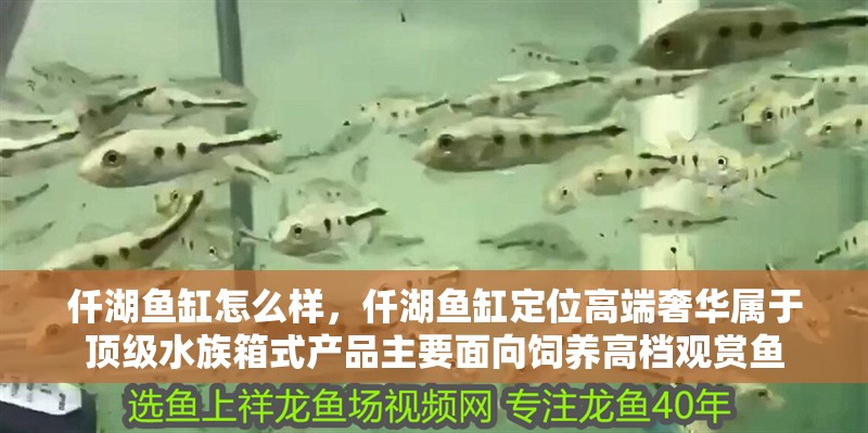 仟湖魚缸怎么樣，仟湖魚缸定位高端奢華屬于頂級水族箱式產品主要面向飼養高檔觀賞魚
