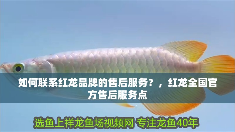 如何聯(lián)系紅龍品牌的售后服務(wù)？，紅龍全國(guó)官方售后服務(wù)點(diǎn)