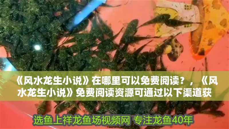 《風(fēng)水龍生小說》在哪里可以免費(fèi)閱讀？，《風(fēng)水龍生小說》免費(fèi)閱讀資源可通過以下渠道獲取