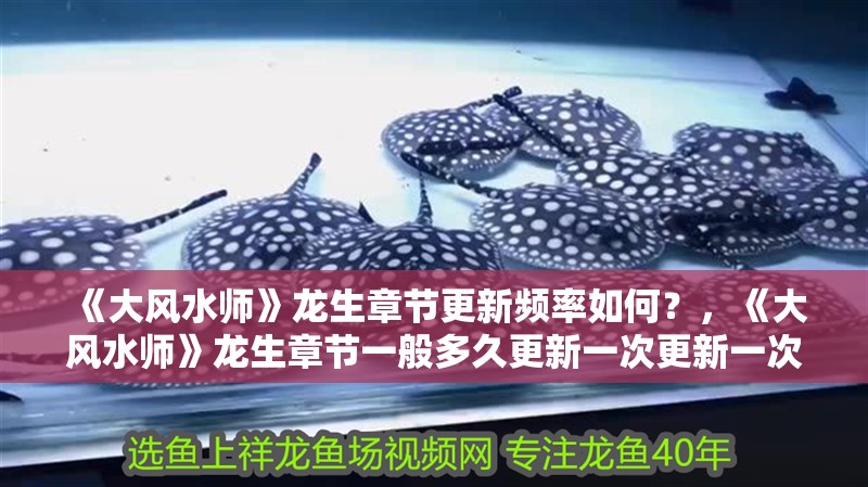 《大風水師》龍生章節更新頻率如何？，《大風水師》龍生章節一般多久更新一次更新一次