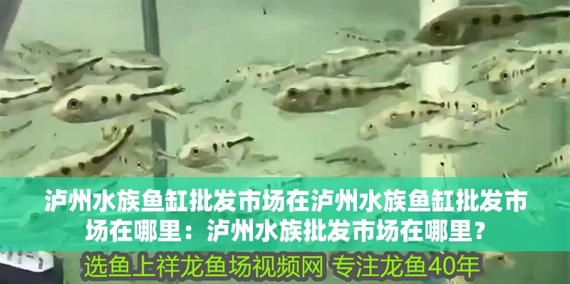 瀘州水族魚缸批發市場在瀘州水族魚缸批發市場在哪里：瀘州水族批發市場在哪里？