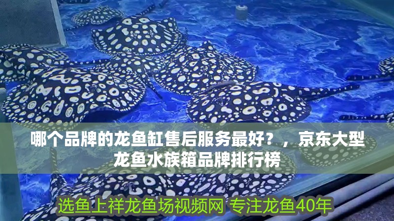 哪個品牌的龍魚缸售后服務(wù)最好？，京東大型龍魚水族箱品牌排行榜