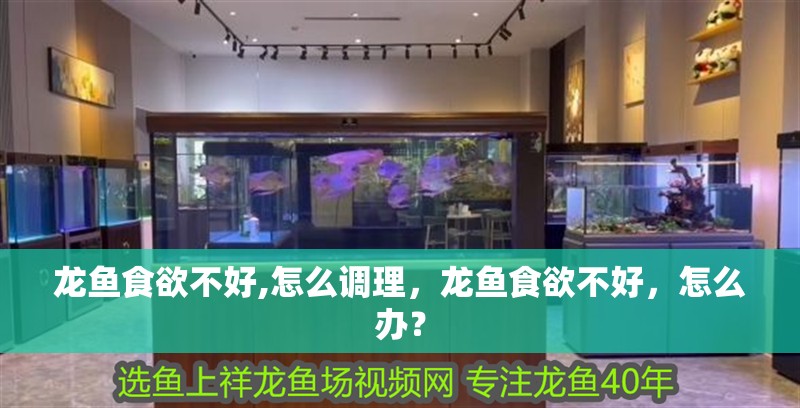 龍魚食欲不好,怎么調理，龍魚食欲不好，怎么辦？