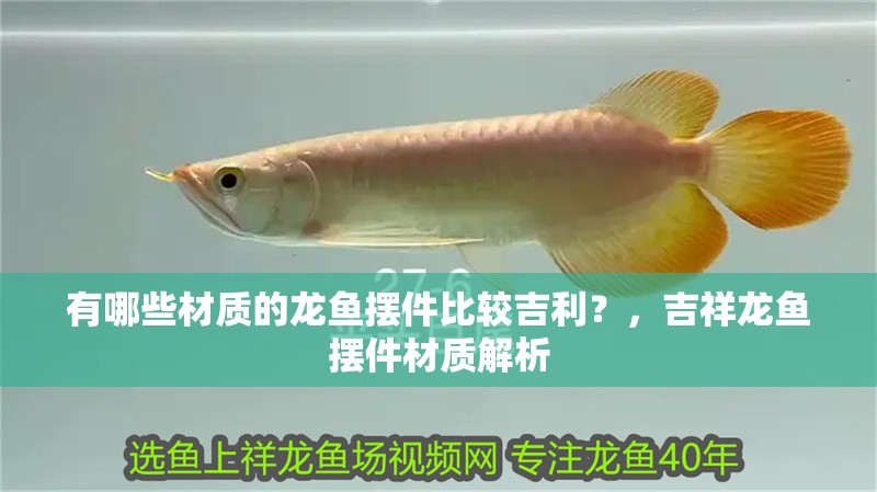 有哪些材質(zhì)的龍魚擺件比較吉利？，吉祥龍魚擺件材質(zhì)解析