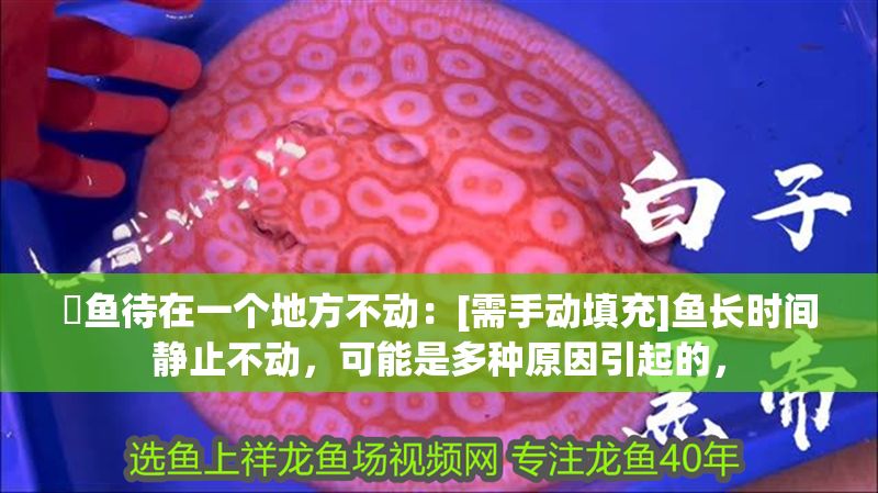 魟魚(yú)待在一個(gè)地方不動(dòng)：[需手動(dòng)填充]魚(yú)長(zhǎng)時(shí)間靜止不動(dòng)，可能是多種原因引起的，