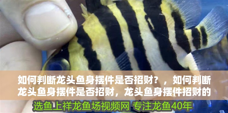 如何判斷龍頭魚身擺件是否招財？，如何判斷龍頭魚身擺件是否招財，龍頭魚身擺件招財的關鍵要素