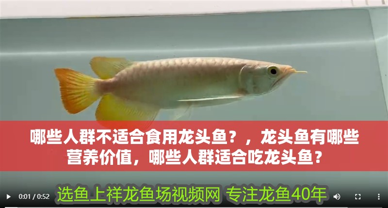 哪些人群不適合食用龍頭魚(yú)？，龍頭魚(yú)有哪些營(yíng)養(yǎng)價(jià)值，哪些人群適合吃龍頭魚(yú)？