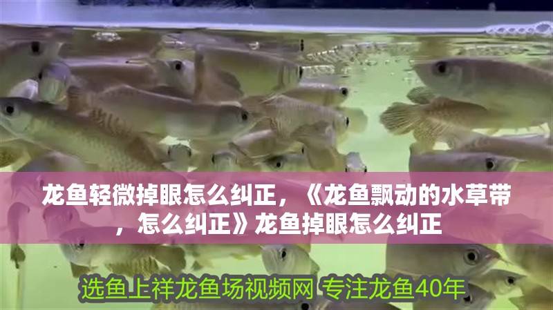 龍魚輕微掉眼怎么糾正，《龍魚飄動的水草帶，怎么糾正》龍魚掉眼怎么糾正