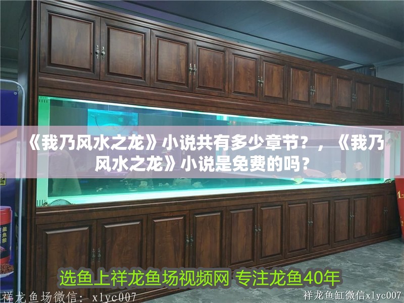 《我乃風水之龍》小說共有多少章節？，《我乃風水之龍》小說是免費的嗎？
