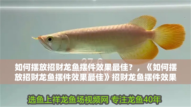 如何擺放招財(cái)龍魚擺件效果最佳？，《如何擺放招財(cái)龍魚擺件效果最佳》招財(cái)龍魚擺件效果最佳