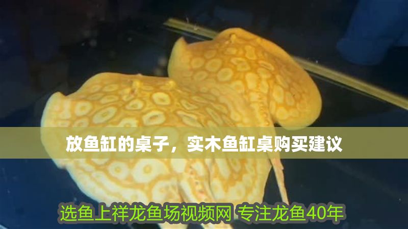 放魚缸的桌子,實木魚缸桌購買建議 魚缸百科 第2張 放魚缸的桌子,實木魚缸桌購買建議 放魚缸的桌子,實木魚缸桌購買建議 魚缸百科 第2張