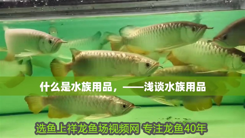 什么是水族用品，——淺談水族用品