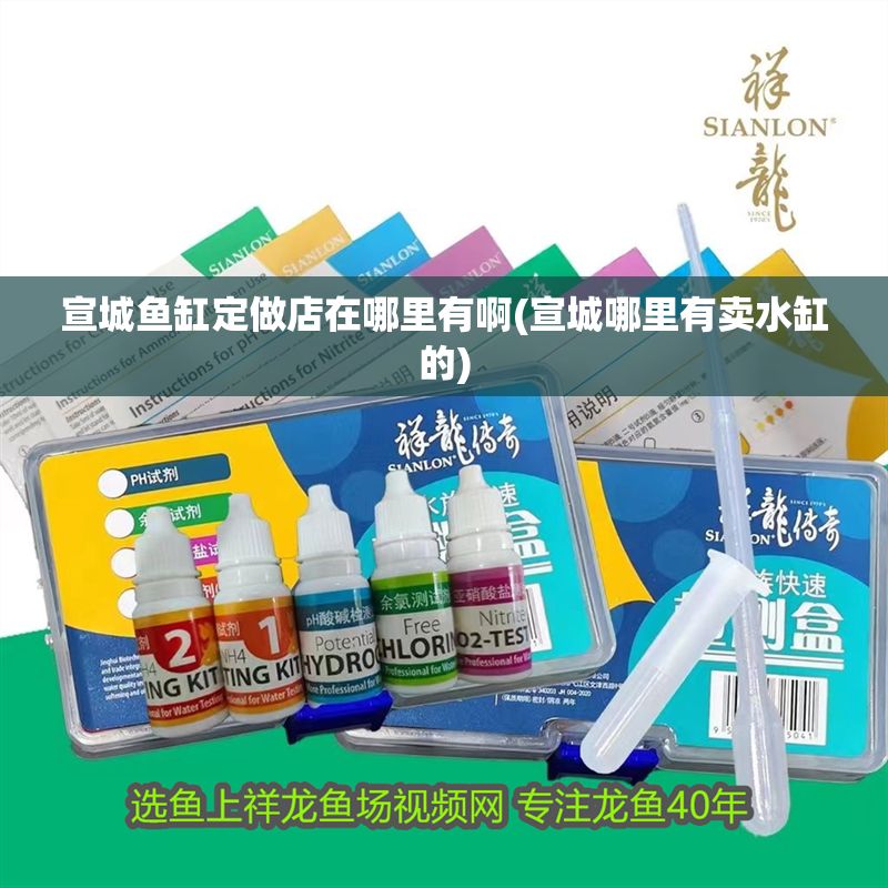 宣城魚缸定做店在哪里有啊(宣城哪里有賣水缸的)
