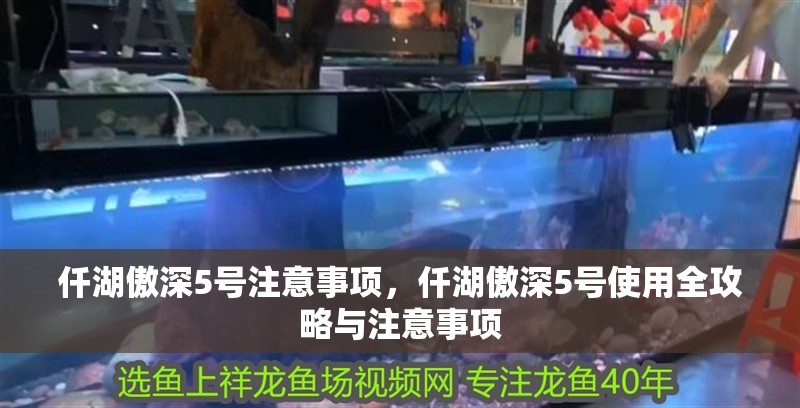 仟湖傲深5號注意事項，仟湖傲深5號使用全攻略與注意事項