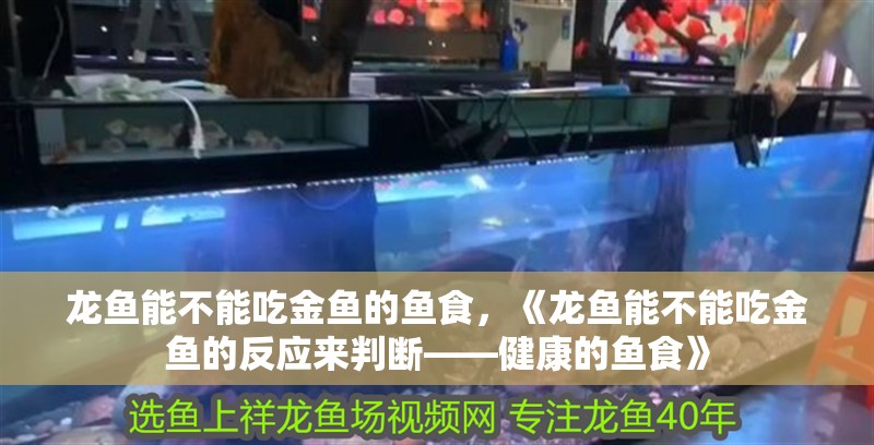 龍魚能不能吃金魚的魚食，《龍魚能不能吃金魚的反應(yīng)來判斷——健康的魚食》