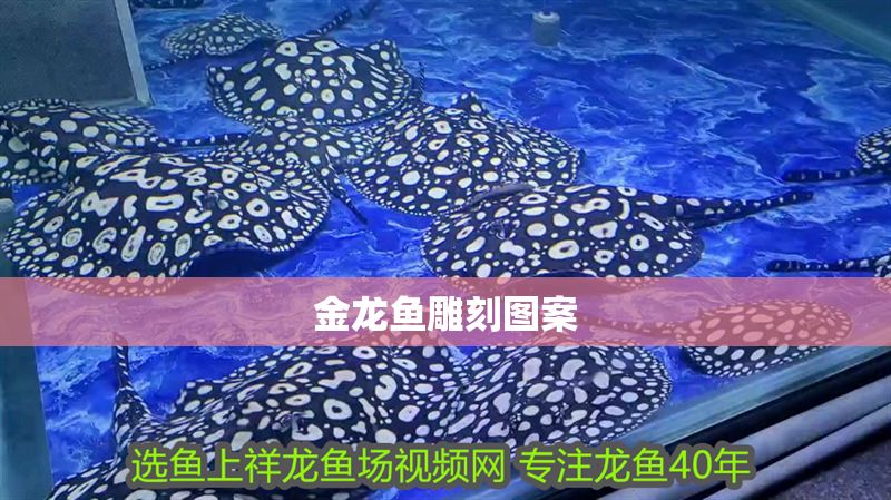 金龍魚雕刻圖案