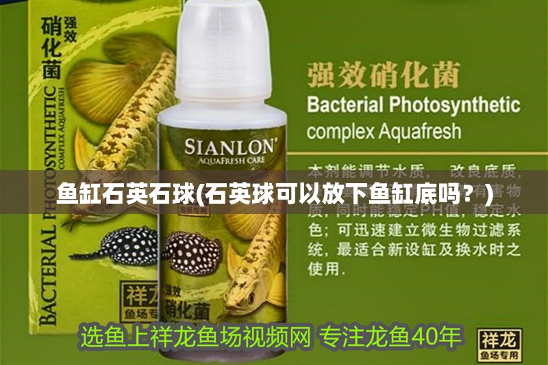 魚缸石英石球(石英球可以放下魚缸底嗎？)