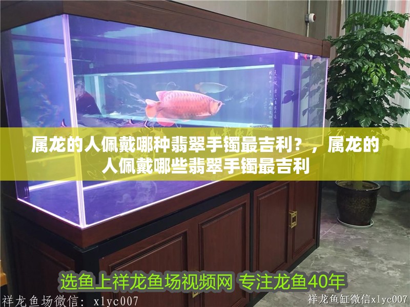 屬龍的人佩戴哪種翡翠手鐲最吉利？，屬龍的人佩戴哪些翡翠手鐲最吉利