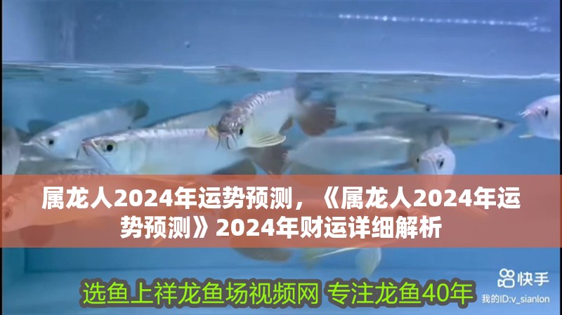 屬龍人2024年運(yùn)勢(shì)預(yù)測(cè)，《屬龍人2024年運(yùn)勢(shì)預(yù)測(cè)》2024年財(cái)運(yùn)詳細(xì)解析