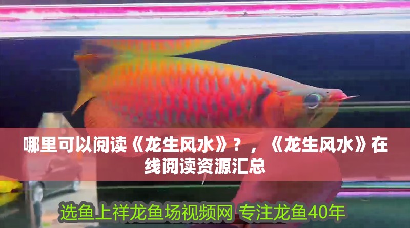 哪里可以閱讀《龍生風水》？，《龍生風水》在線閱讀資源匯總