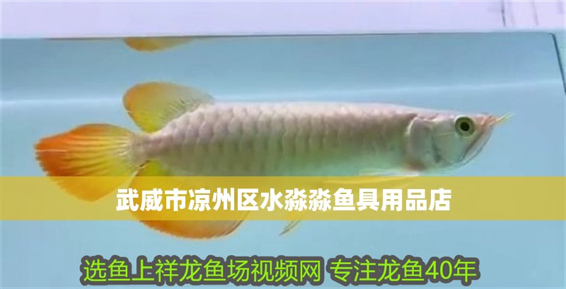 武威市涼州區(qū)水淼淼魚具用品店