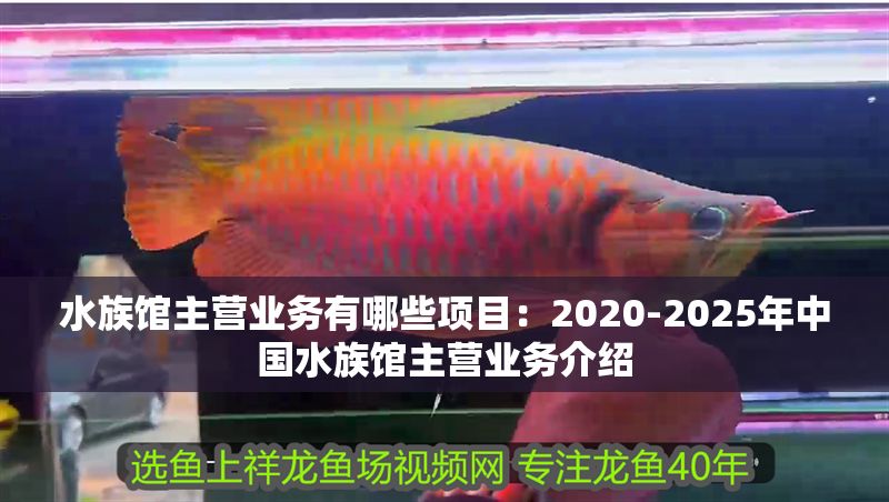 水族館主營(yíng)業(yè)務(wù)有哪些項(xiàng)目：2020-2025年中國(guó)水族館主營(yíng)業(yè)務(wù)介紹
