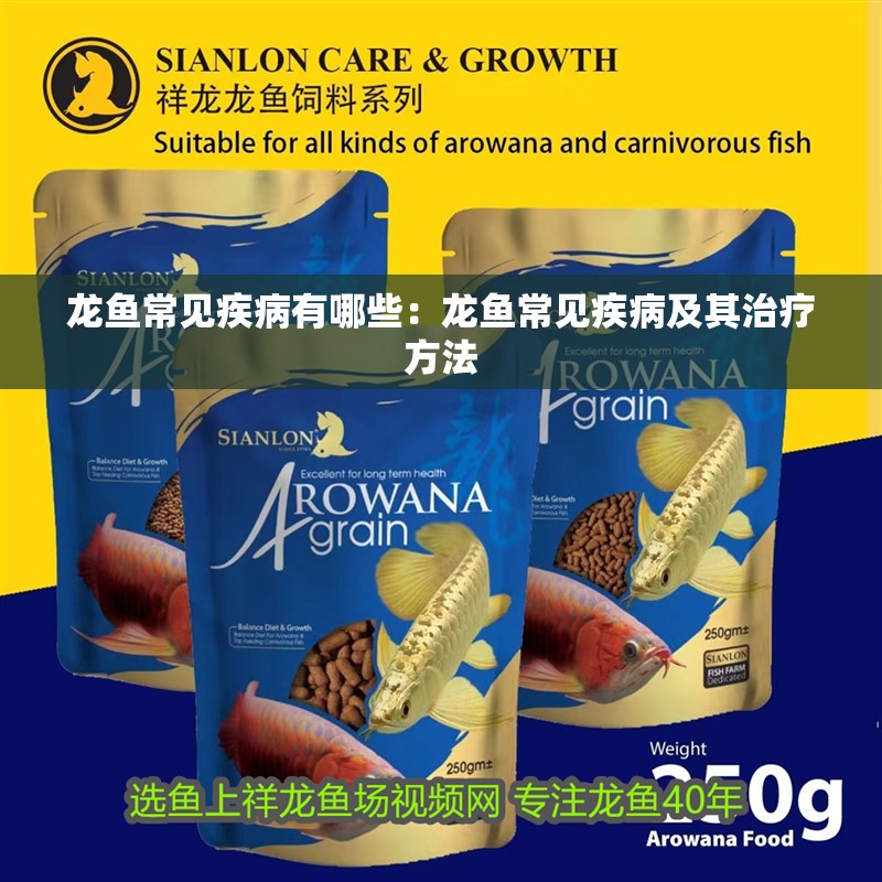 龍魚常見疾病有哪些：龍魚常見疾病及其治療方法