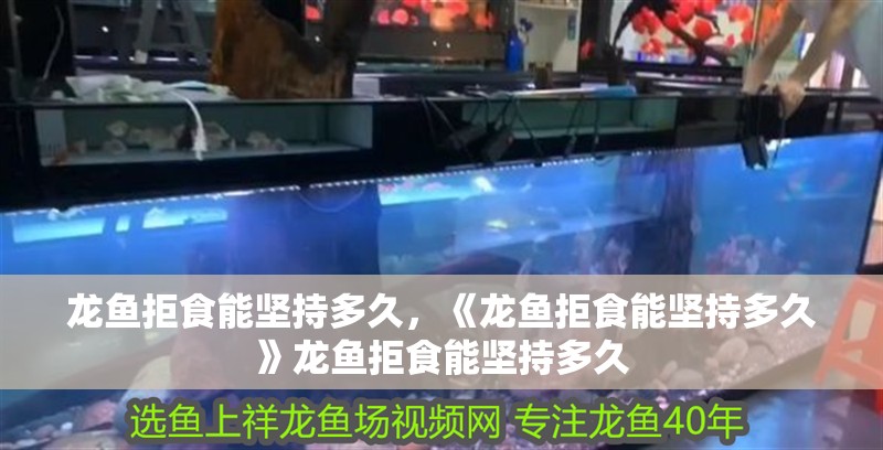 龍魚拒食能堅持多久，《龍魚拒食能堅持多久》龍魚拒食能堅持多久