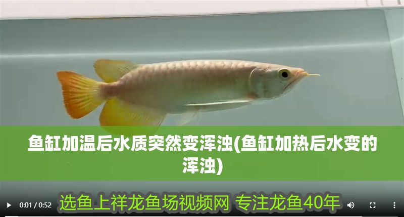 魚缸加溫后水質(zhì)突然變渾濁(魚缸加熱后水變的渾濁)