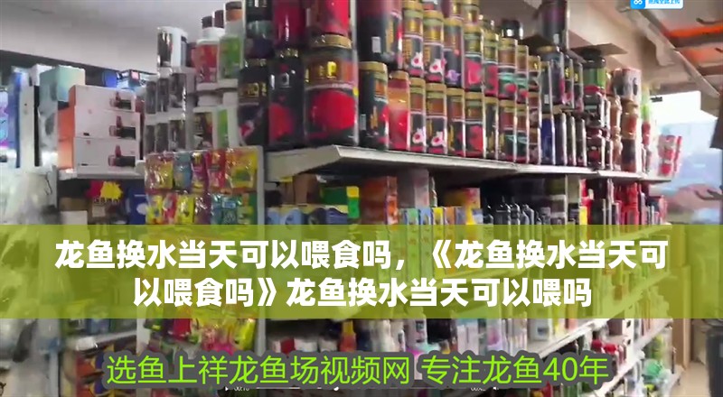 魚缸過濾器選購指南:自制魚缸過濾器魚缸上置過濾器對于養魚愛好者的必備知識 龍魚換水當天可以喂食嗎,《龍魚換水當天可以喂食嗎》龍魚換水當天可以喂嗎 水族問答 龍魚換水當天可以喂食嗎,《龍魚換水當天可以喂食嗎》龍魚換水當天可以喂嗎 龍魚換水當天可以喂食嗎,《龍魚換水當天可以喂食嗎》龍魚換水當天可以喂嗎 水族問答