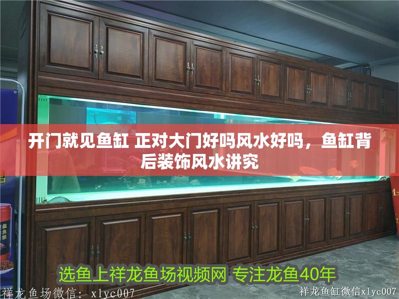 開門就見魚缸 正對大門好嗎風水好嗎，魚缸背后裝飾風水講究