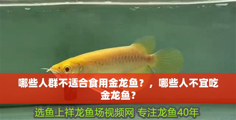 哪些人群不適合食用金龍魚？，哪些人不宜吃金龍魚？