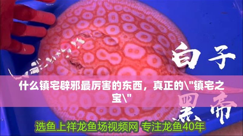 什么鎮宅辟邪最厲害的東西，真正的\