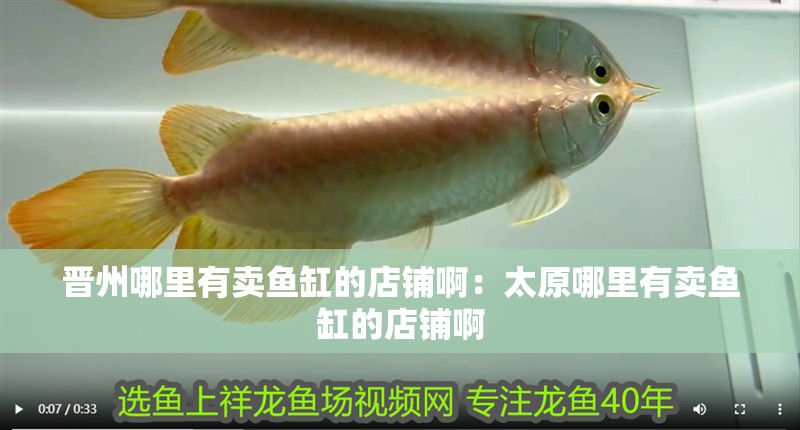 晉州哪里有賣魚缸的店鋪啊：太原哪里有賣魚缸的店鋪啊