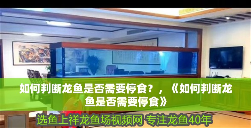 如何判斷龍魚是否需要停食？，《如何判斷龍魚是否需要停食》