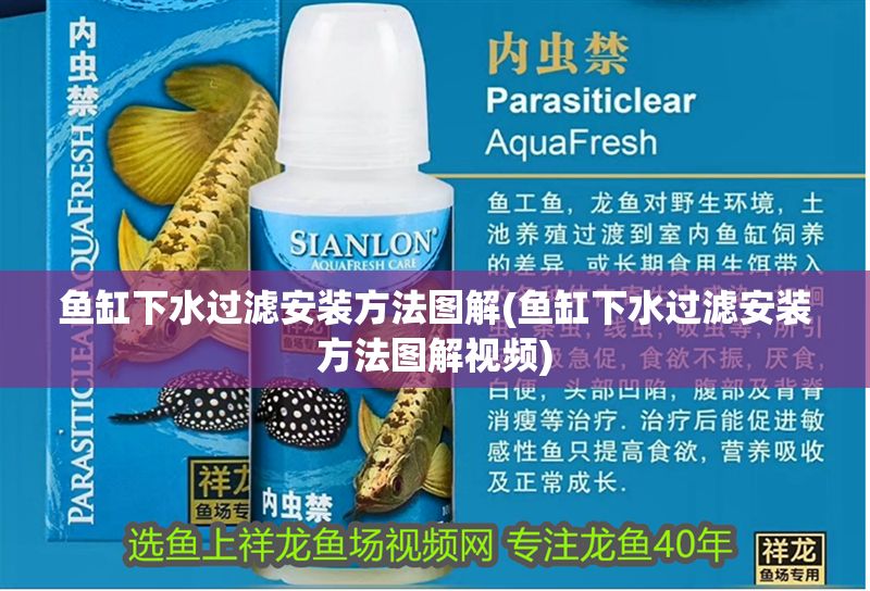 魚缸下水過濾安裝方法圖解(魚缸下水過濾安裝方法圖解視頻) 魚缸下水過濾安裝方法圖解(魚缸下水過濾安裝方法圖解視頻) 錦鯉魚百科 第1張