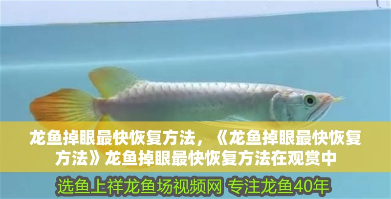 龍魚掉眼最快恢復方法，《龍魚掉眼最快恢復方法》龍魚掉眼最快恢復方法在觀賞中