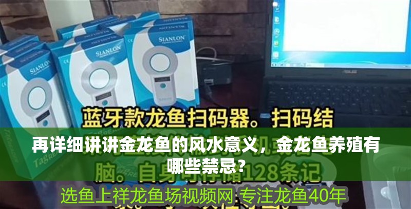 再詳細(xì)講講金龍魚的風(fēng)水意義，金龍魚養(yǎng)殖有哪些禁忌？