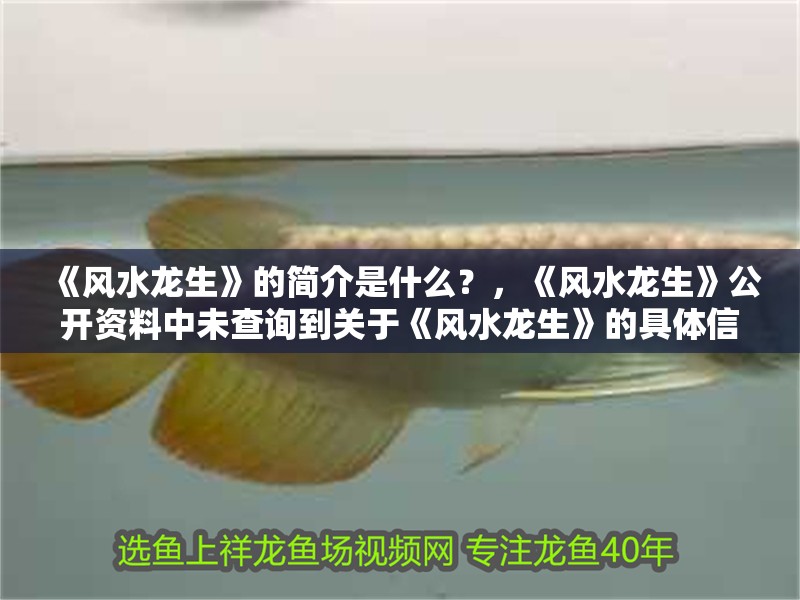 《風水龍生》的簡介是什么？，《風水龍生》公開資料中未查詢到關于《風水龍生》的具體信息
