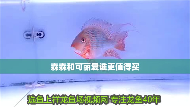 魚(yú)缸過(guò)濾器選購(gòu)指南:自制魚(yú)缸過(guò)濾器魚(yú)缸上置過(guò)濾器對(duì)于養(yǎng)魚(yú)愛(ài)好者的必備知識(shí) 森森和可麗愛(ài)誰(shuí)更值得買(mǎi) 龍魚(yú)論壇 森森和可麗愛(ài)誰(shuí)更值得買(mǎi) 森森和可麗愛(ài)誰(shuí)更值得買(mǎi) 龍魚(yú)論壇