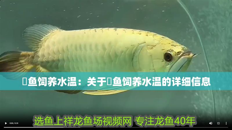 魟魚飼養(yǎng)水溫：關(guān)于魟魚飼養(yǎng)水溫的詳細(xì)信息 魟魚飼養(yǎng)水溫：關(guān)于魟魚飼養(yǎng)水溫的詳細(xì)信息 魟魚百科 第2張