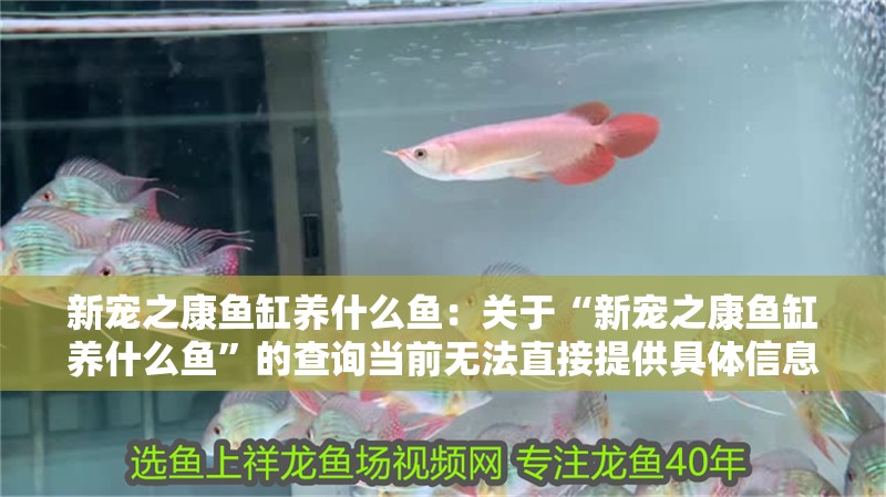 新寵之康魚缸養什么魚：關于“新寵之康魚缸養什么魚”的查詢當前無法直接提供具體信息