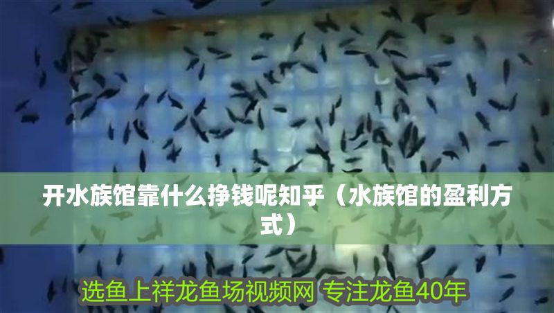 開水族館靠什么掙錢呢知乎（水族館的盈利方式）