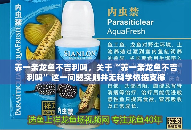 養一條龍魚不吉利嗎，關于“養一條龍魚不吉利嗎”這一問題實則并無科學依據支撐