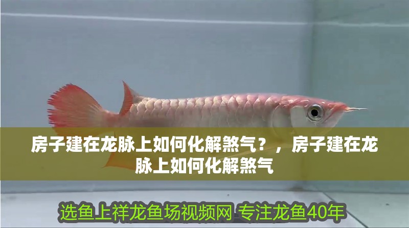 房子建在龍脈上如何化解煞氣？，房子建在龍脈上如何化解煞氣