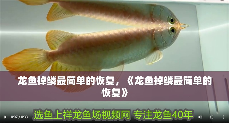 龍魚掉鱗最簡單的恢復，《龍魚掉鱗最簡單的恢復》